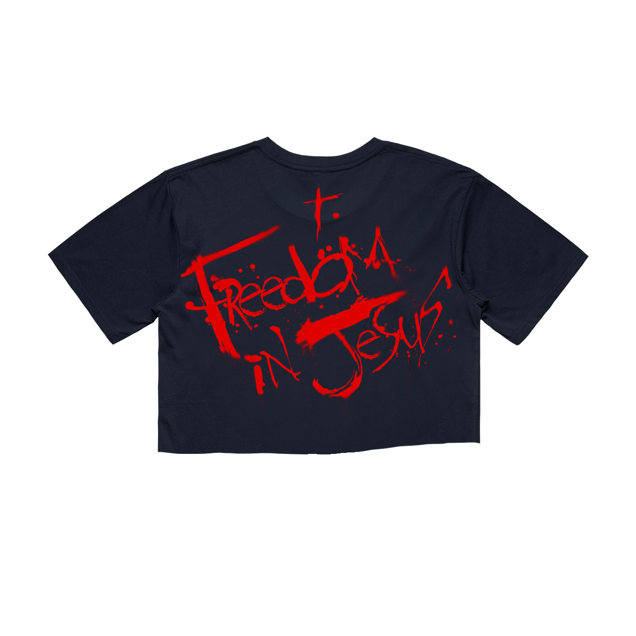 Freedom in Jesus Steadman Cropped Tee